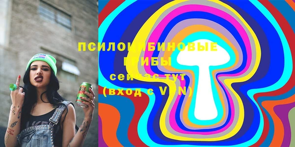 молекула духа Нефтекумск