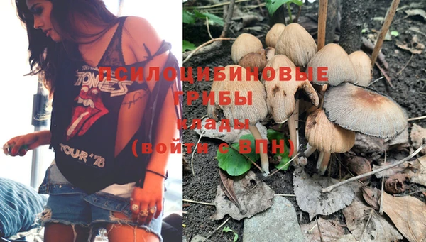 МДПВ Абаза