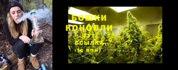 амф Нея