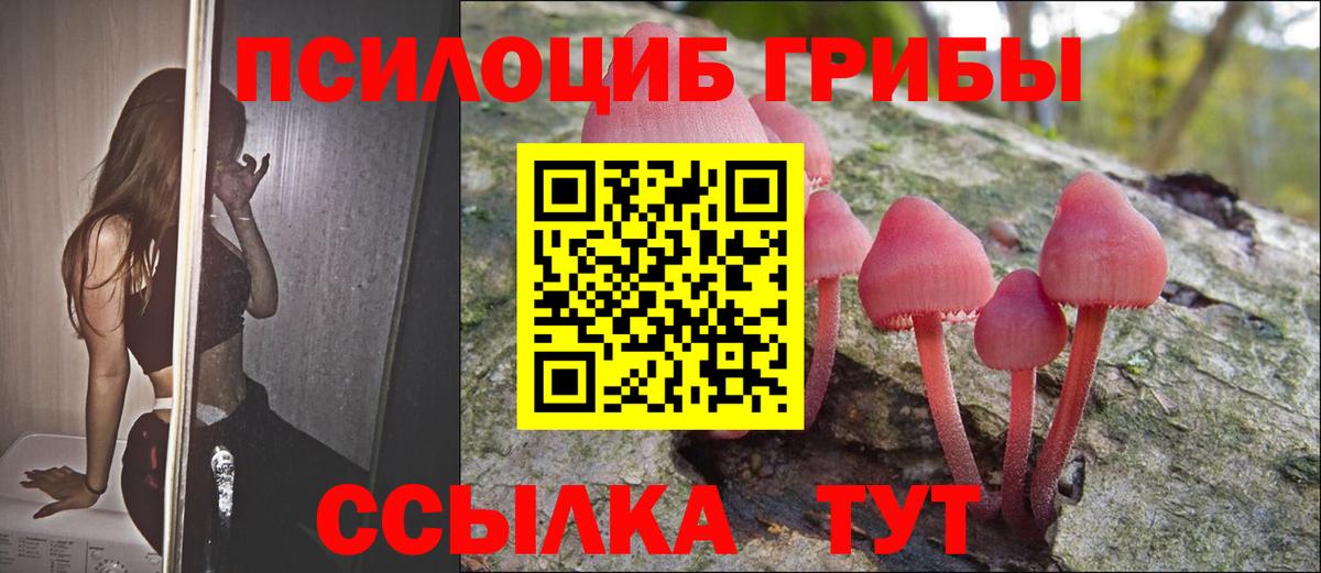 Псилоцибиновые грибы прущие грибы  Псилоцибиновые грибы ЛСД  Вход с VPN  Псков 