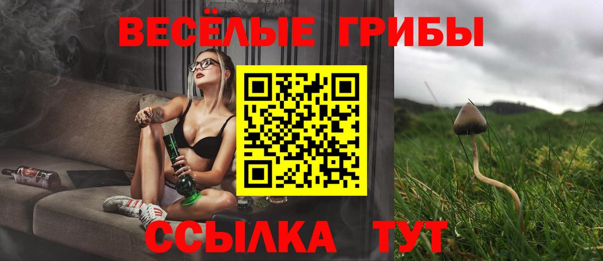 Псилоцибиновые грибы Magic Shrooms Псков